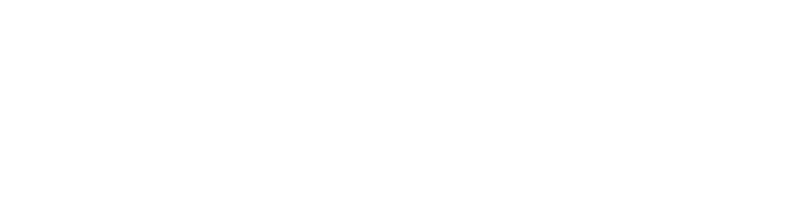 logo-avtoshkola-voditel